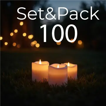 Setup and Packup Service (100)