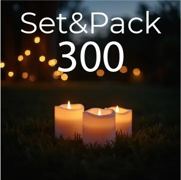 Setup and Packup Service (300)